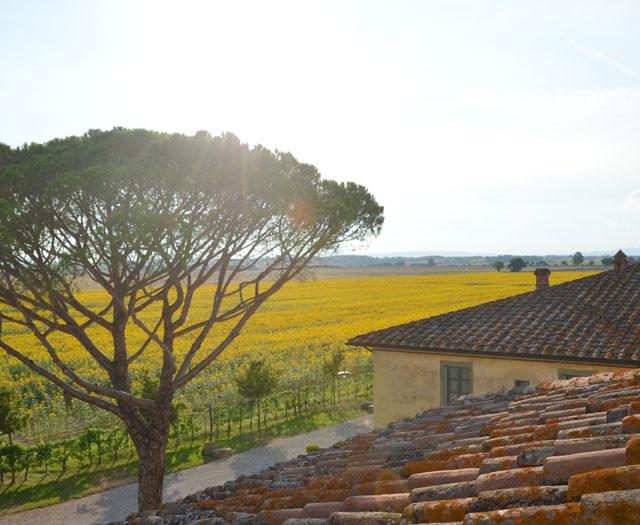 Le Terre dei Cavalieri Hotel foto 3