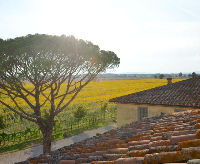 le-terre-dei-cavalieri-appartementen
