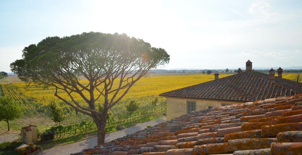 impressie Le Terre dei Cavalieri Appartementen