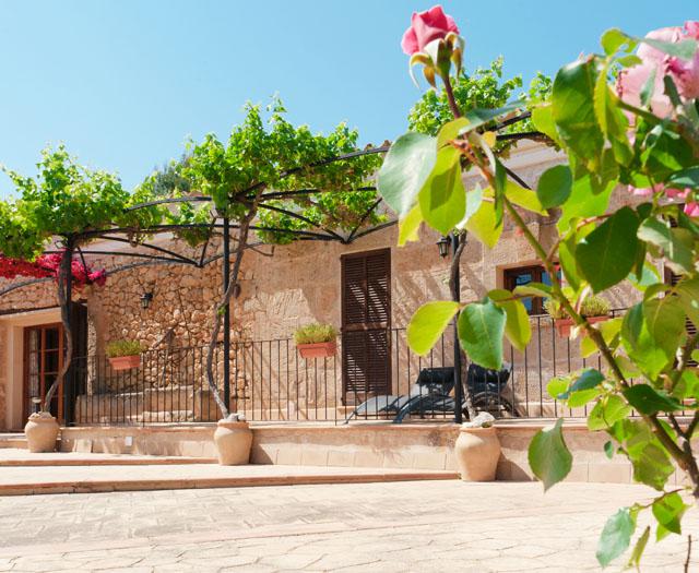 Finca Son Sama foto 3