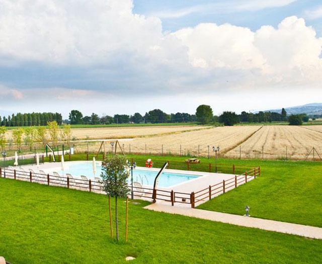 Le Rondini di Francesco di Assisi foto 3