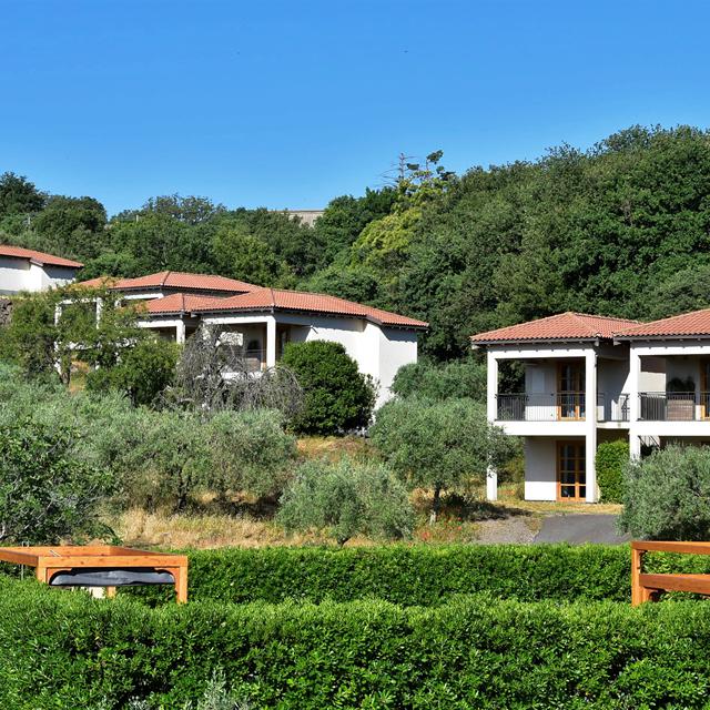 Tenuta Madonnina foto 3