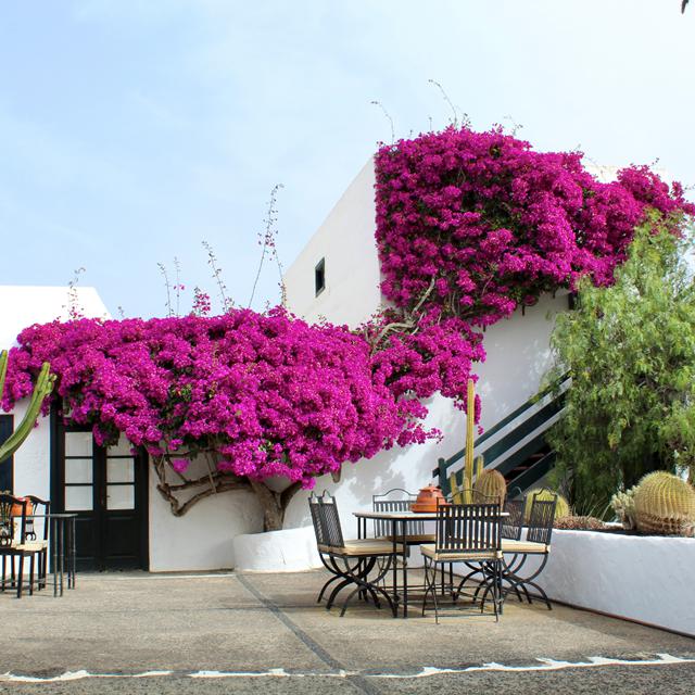 Bijzondere accommodaties Caserío de Mozaga in Mozaga (Lanzarote, Spanje)