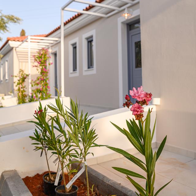 Dionysos Suites foto 3