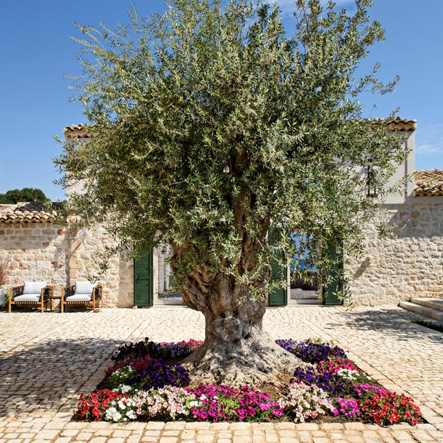 Poggio Leano Resort foto 3