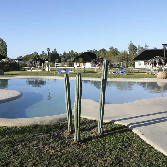 Bijzondere accommodaties Ardea Purpurea Lodge in Villamanrique de la Condesa (Andalusië, Spanje)