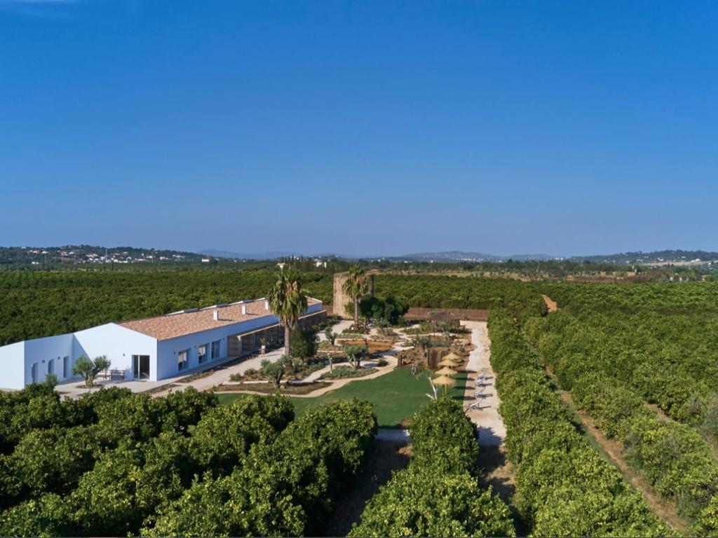 Impressie Rufino Quinta