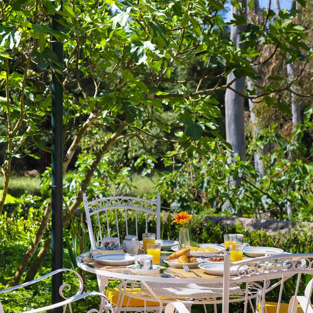 Pelecas Country Club foto 3