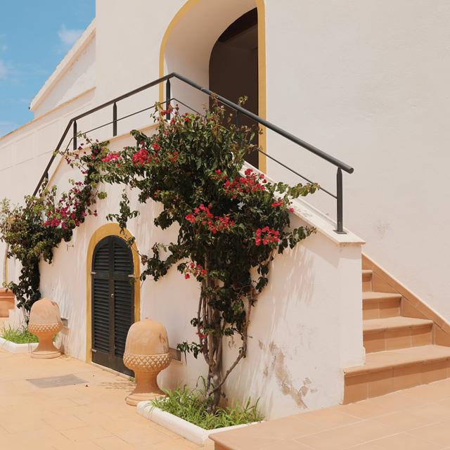 Llucatx Menorca foto 2