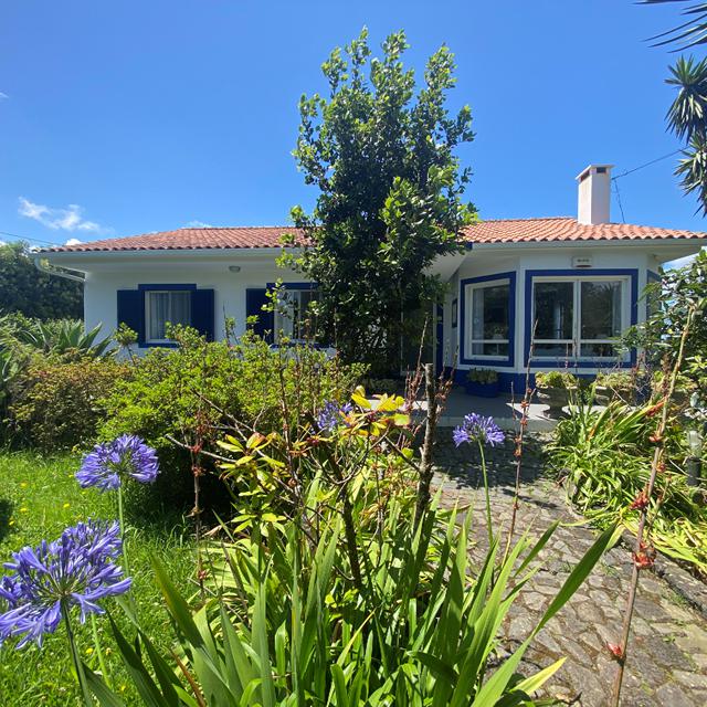 Quinta dos Bravos foto 3