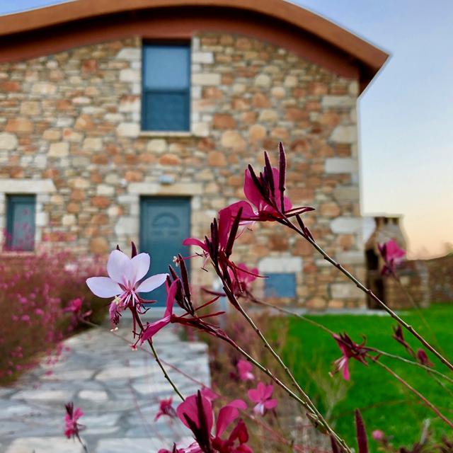 Estrella Villas foto 4