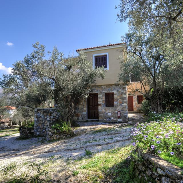 geras-olive-grove