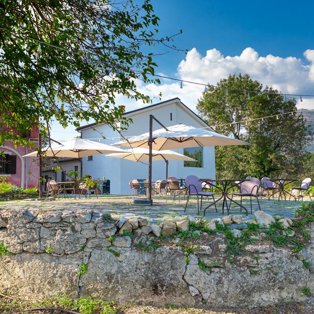 Agriturismo La Vecchia Quercia foto 2