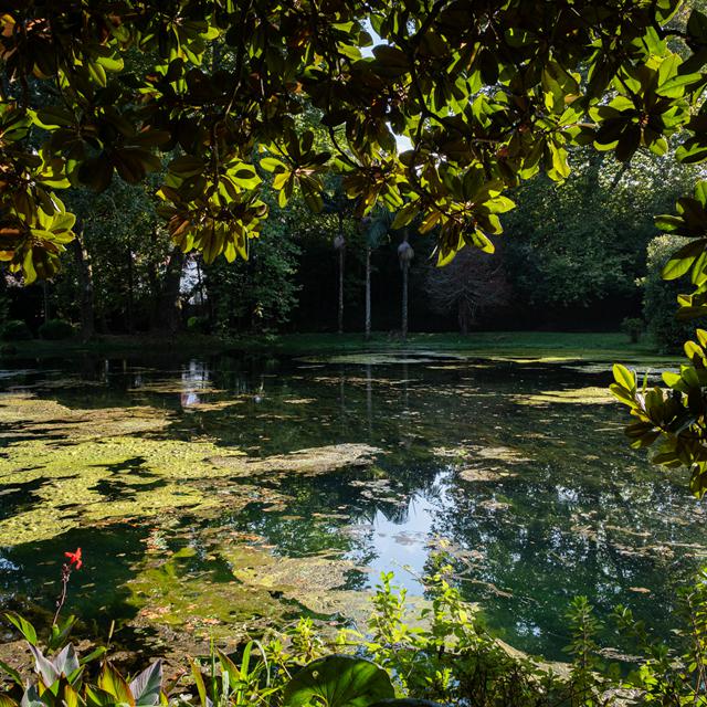Cantos Green Garden foto 3