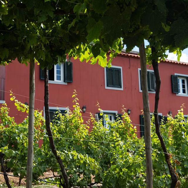 Quinta Das Vinhas foto 4