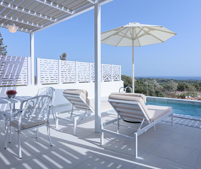 dionysos-suites