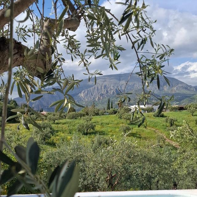 Villa Bellido - Spanje - Andalusië - Álora