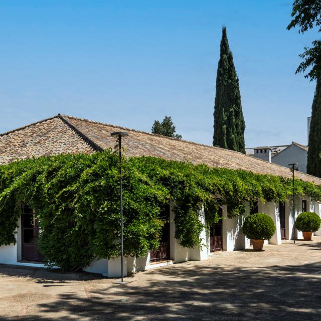Cortijo Torre de la Reina foto 2