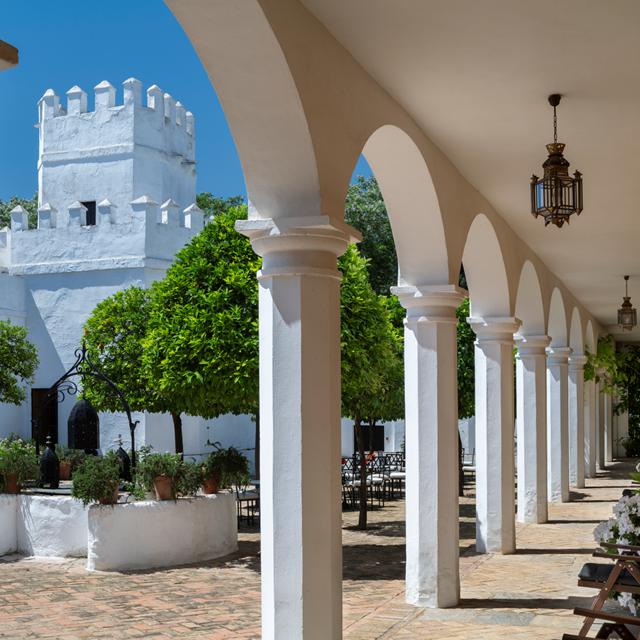 Cortijo Torre de la Reina foto 3