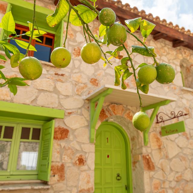 Lithina Villas foto 3