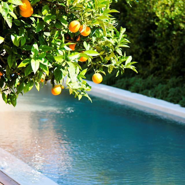 Villa Conte Marino foto 3
