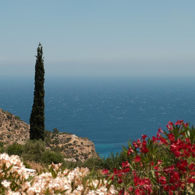 Natura e Mare – afbeelding 2