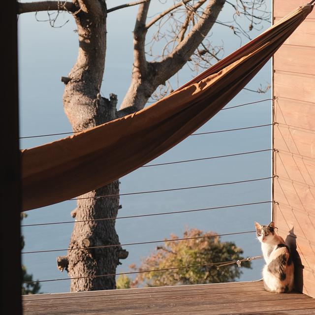 Calheta Glamping Pods foto 2