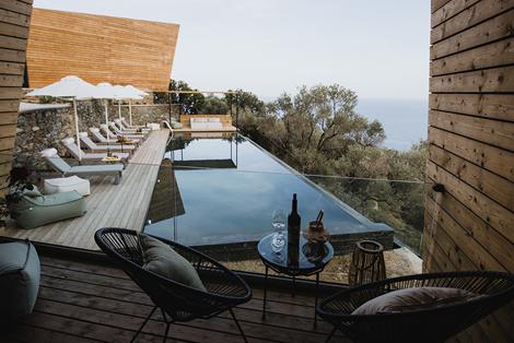 Five Olive Dream Trip